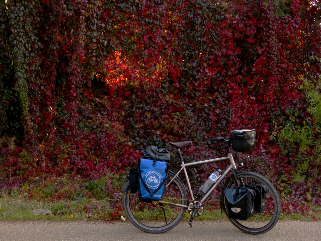 019 Ti Rohler kirmizi